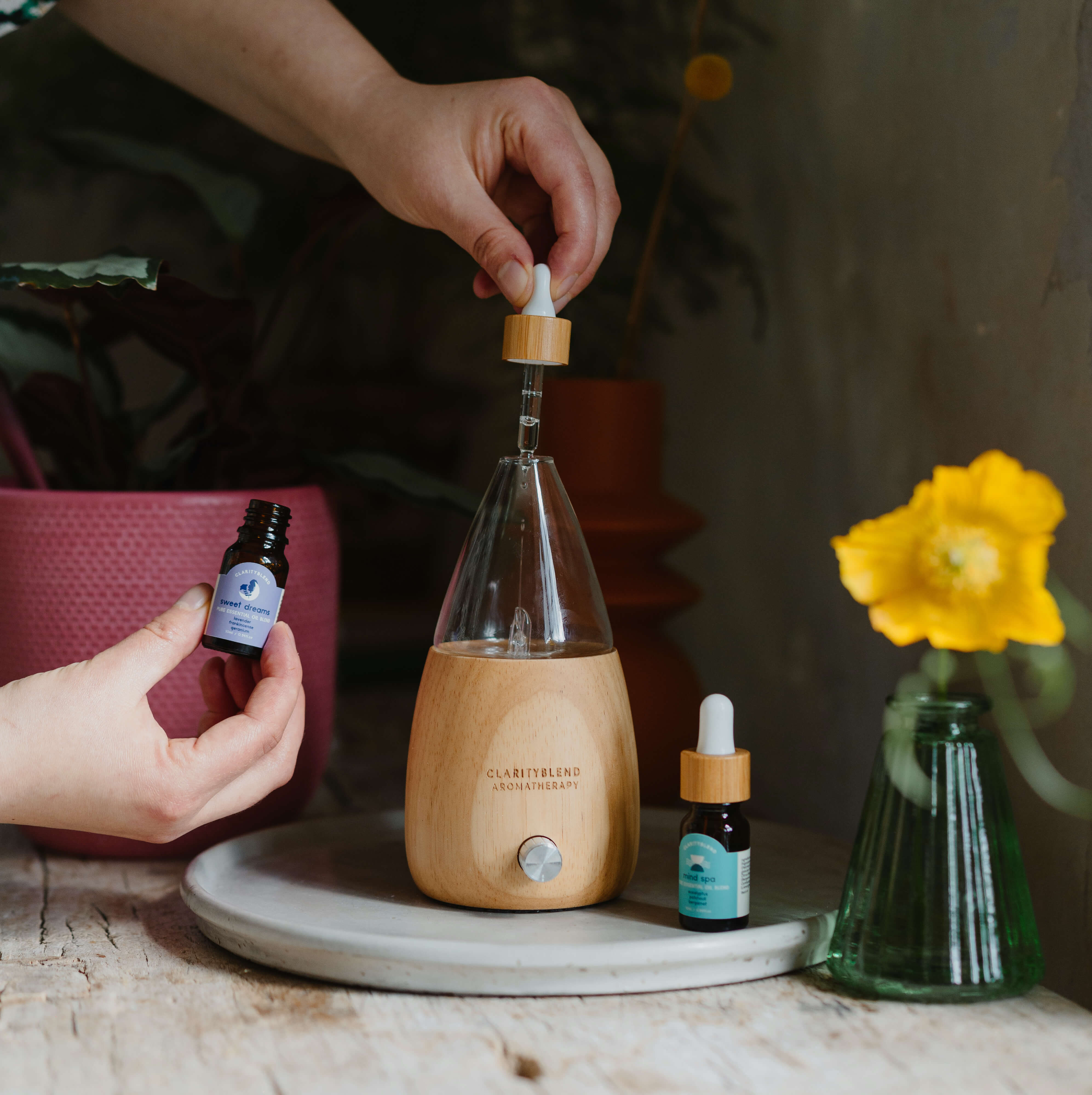 Clarity Blend Citrus Delight Diffuser Blend