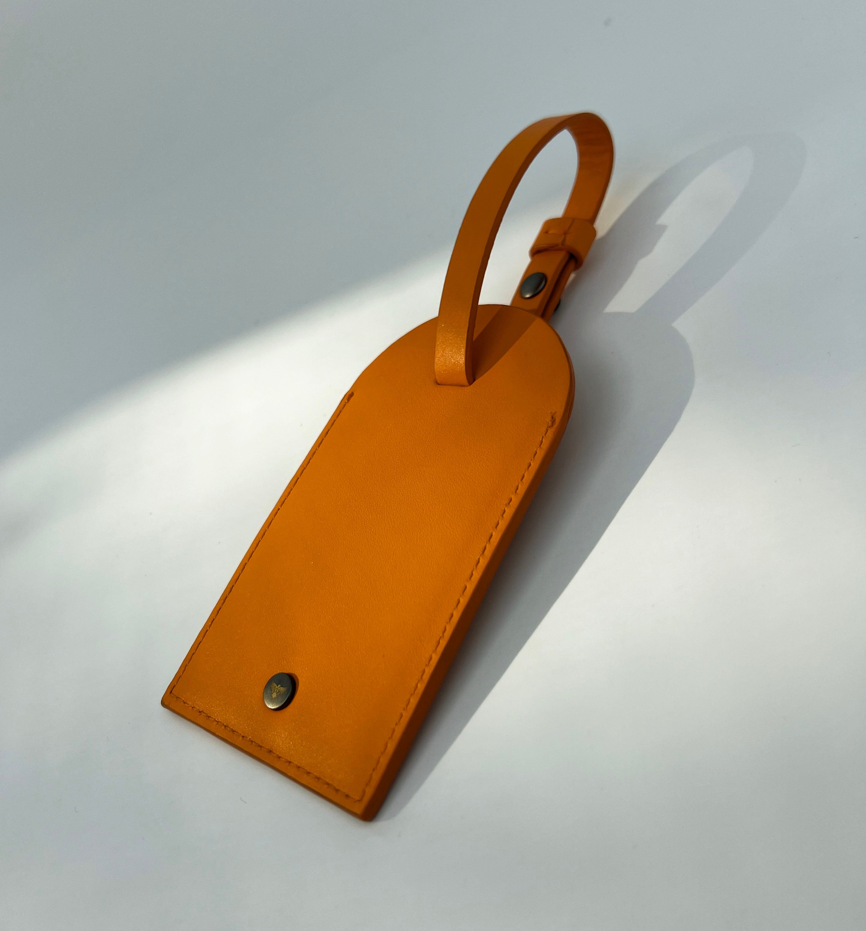 Apatchy London Leather Luggage Tag