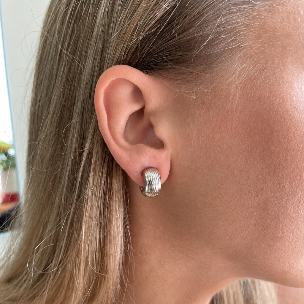 Robbin Silver Clip On Earrings
