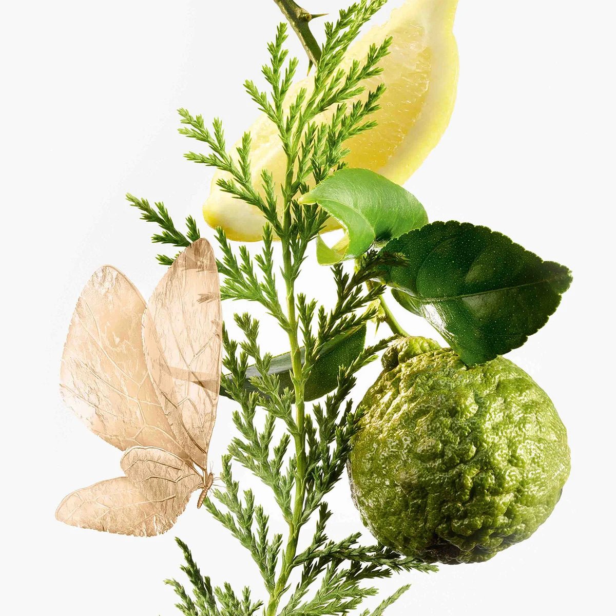 Goutal Eau D'Hadrien Eau de Parfum Spray 50ml - Fragrance London