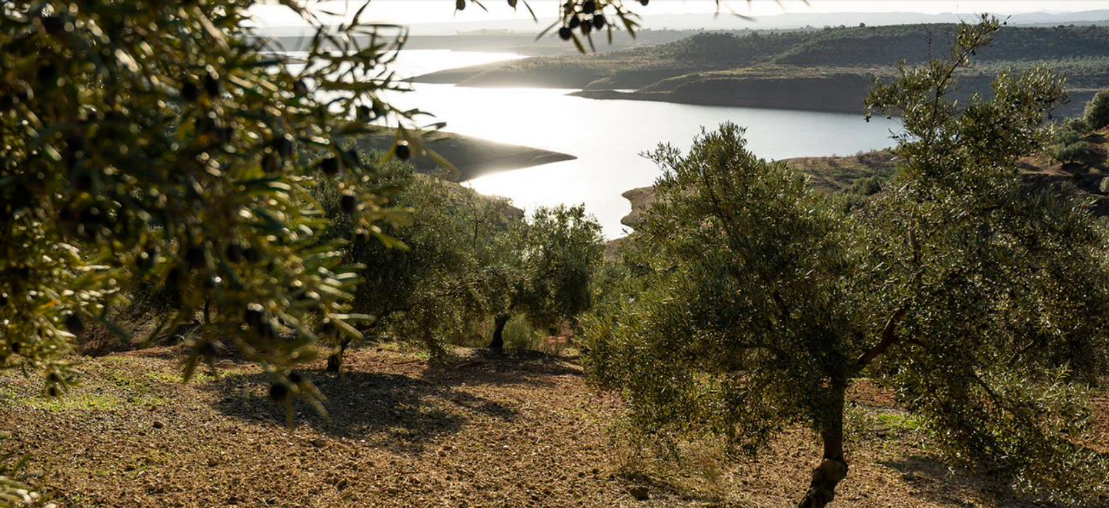El Molino